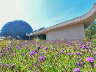 Planetarium Wolfsburg Planetarium Wolfsburg